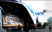 sea freight forwarding services, international air freight forwarding, international sea freight forwarding services