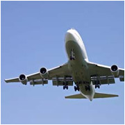 Logging of Advance License & Exim Consultancy