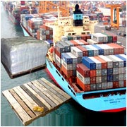 Palletization-Fumigation