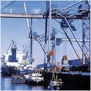 Arranging Inspection through SGS